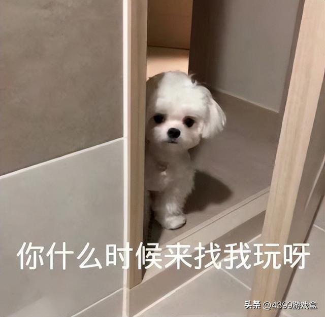 poke流是什么，克破是什么意思（小矮人还是POKE流）