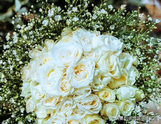 心疼关心一个人的句子，体谅和心疼对方的句子（秋凉了，写给最牵挂的你）