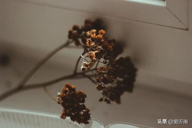 二十个简单的歇后语，20个最简单的歇后语（20句经典歇后语）