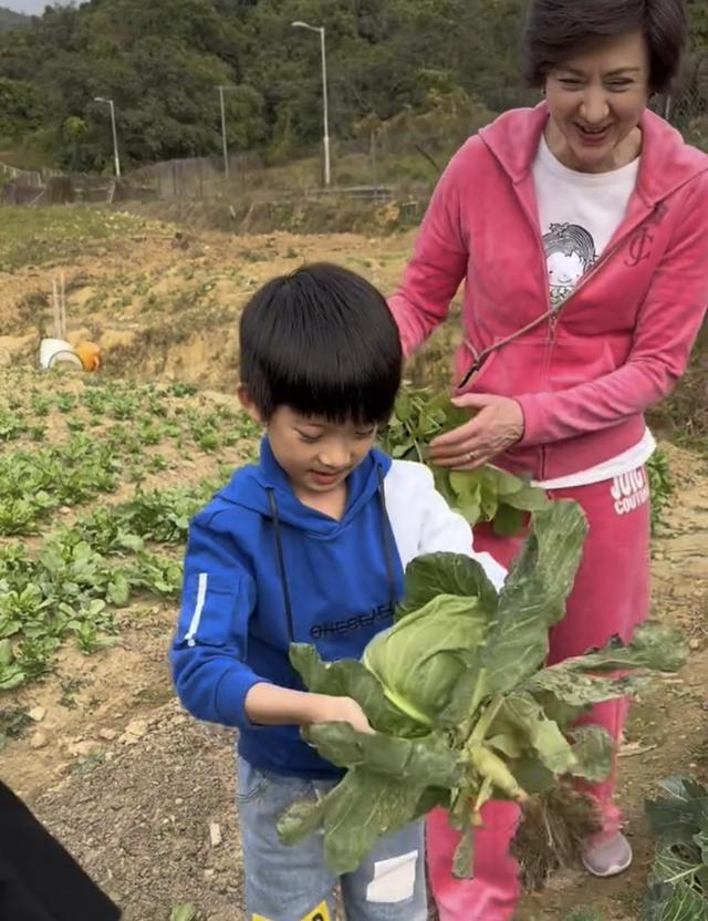 洪金宝小儿子洪天明，曾暴瘦长期坐轮椅引担忧