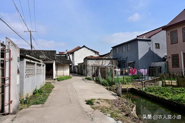 十年后的中国农村，马云说10年后的农村是什么样子（农村的宅基地能长到1万一平方吗）