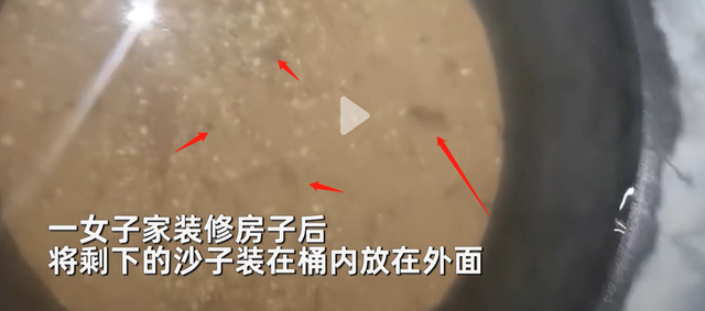 关于金鱼的资料，关于金鱼的资料的准确数字（女子装沙子的露天水桶中）