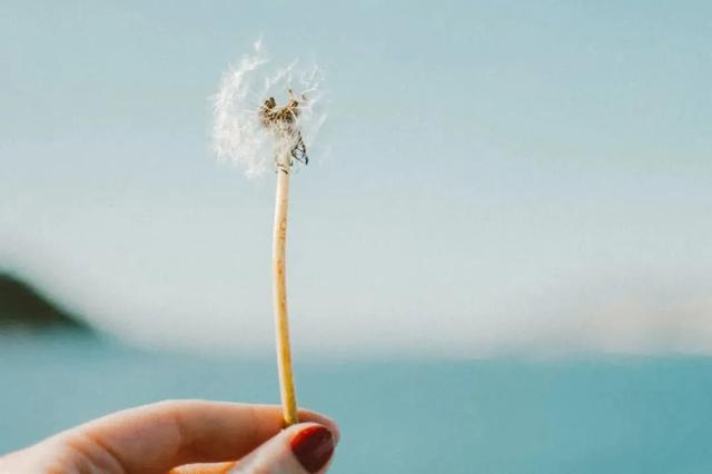 简述班级管理的原则，简述班级管理的原则和方法（超实用的25条班级管理建议）