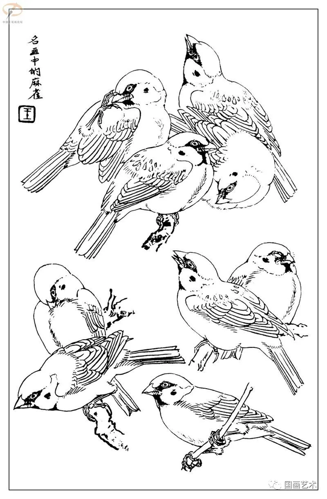 火的简笔画图片，火焰怎么画简笔画图片（画鸟参考——白描麻雀百图）