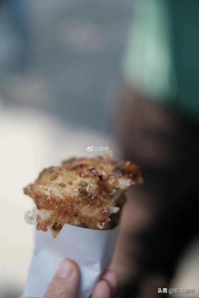 扬州一日游，扬州一日游攻略自助游（一个周末去趟高邮）