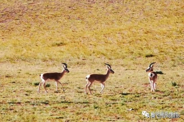 国内最值得旅游的地方，国内最值得旅游的地方是哪里（国内10处风景绝美的地方）