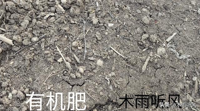 买的营养土还用掺土吗，营养土是否可以再加一般的土（改造成肥沃的营养土）