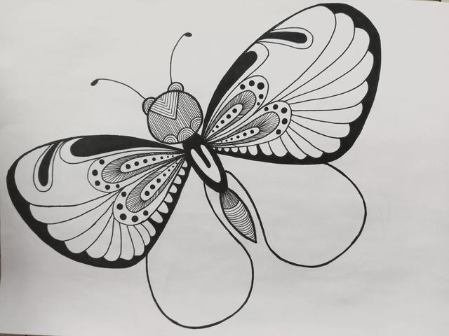 蝴蝶怎么画简单好看,如何画一个简单蝴蝶(《蝴蝶》线描画绘画过程)
