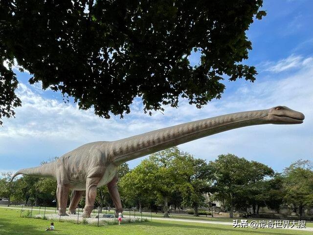 世界上最大的熊，世界上最大的熊是什么熊（25个比你想象中要大的巨物）