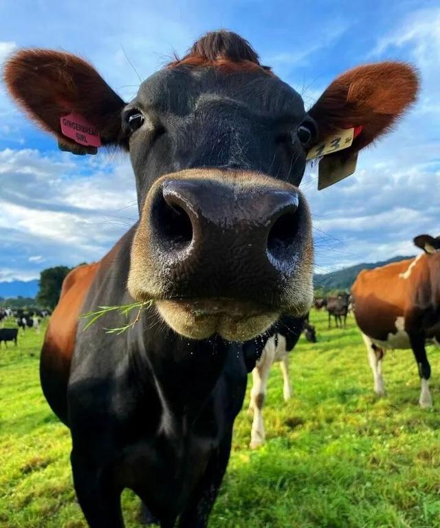 “我有点不开心，微信头像，“我有点不开心，不只一次，不只今天，不只是你”丧系女生头像（所有的不开心就止步于此吧）