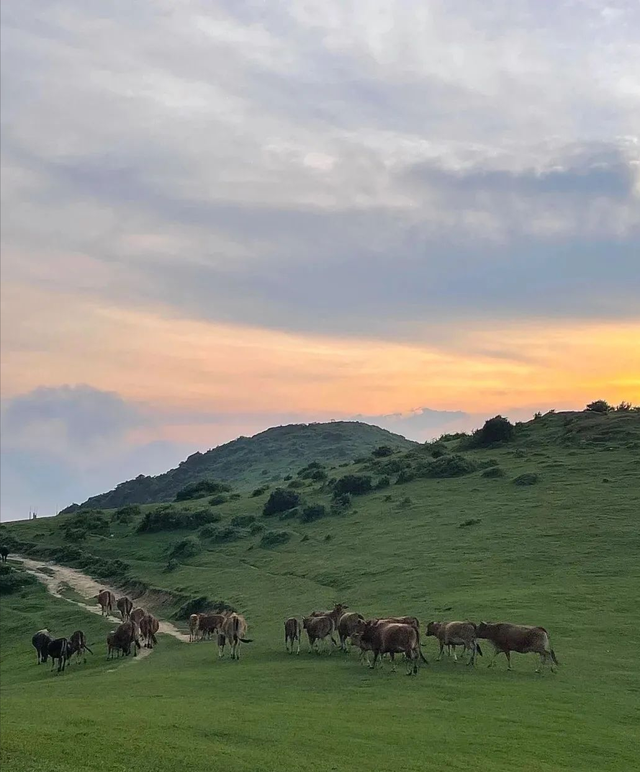 福州旅游必去十大景点，福建旅游必去十大景点有哪些（福州这13个宝藏地方）