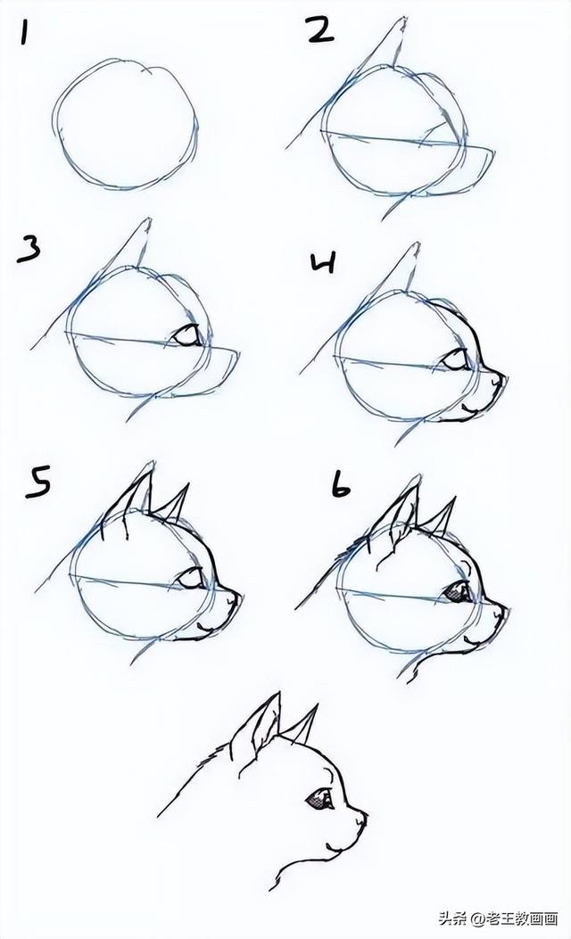 怎么画小女孩简单又漂亮，可爱的女孩怎么画（50个画猫咪的简笔画）