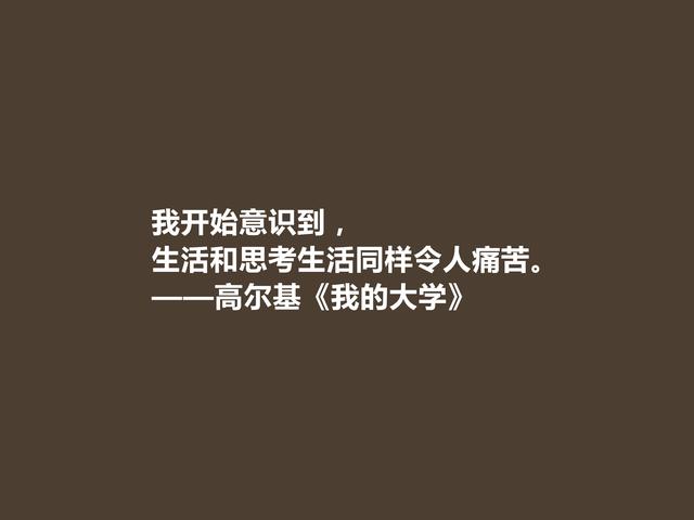 高尔基的名言，高尔基的名言关于读书（名作《我的大学》十句格言）