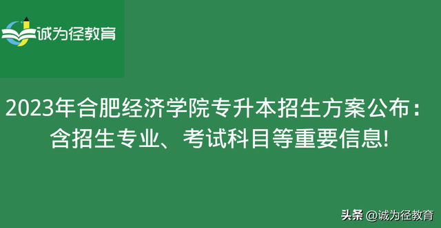 会计专升本考试科目，会计专升本考哪些科目（2023年合肥经济学院专升本招生）