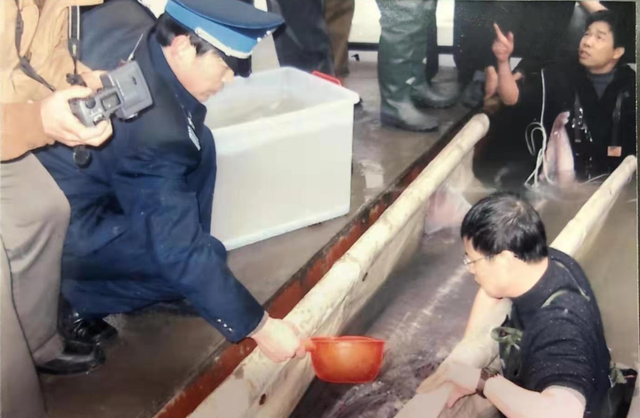 有哪些灭绝或濒临绝种的动物，濒临灭绝的动物是哪种（细数那些惨遭人类毒手的珍稀动物）