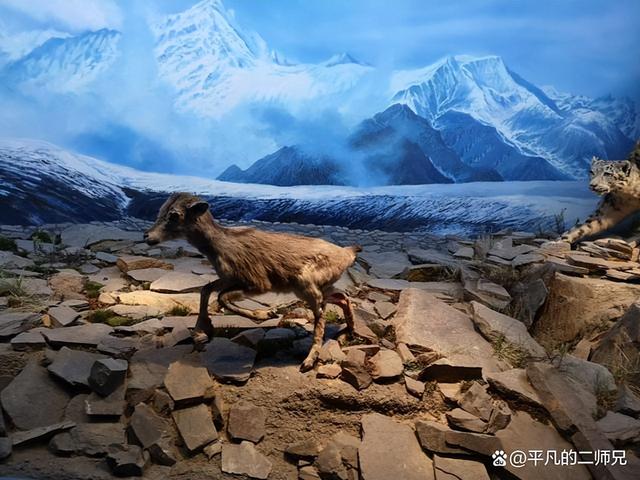 西宁十大旅游景点，六个经典必去的地方