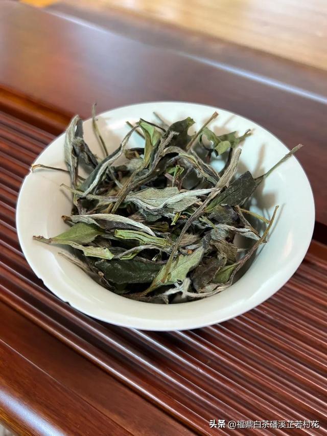 福鼎白茶产区磻溪，带你了解白茶优质产区，磻溪镇