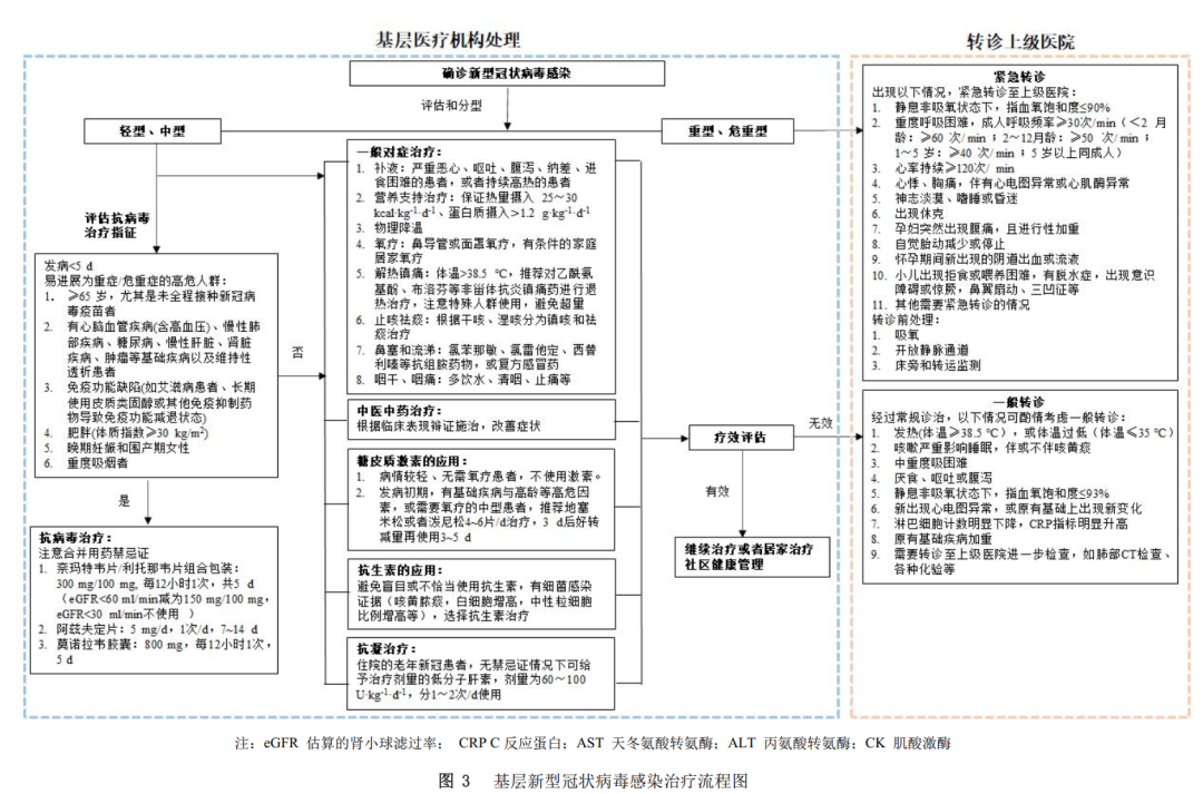 便常规怎么检查，便常规的检查（最新发布丨新型冠状病毒感染基层诊疗和服务指南）