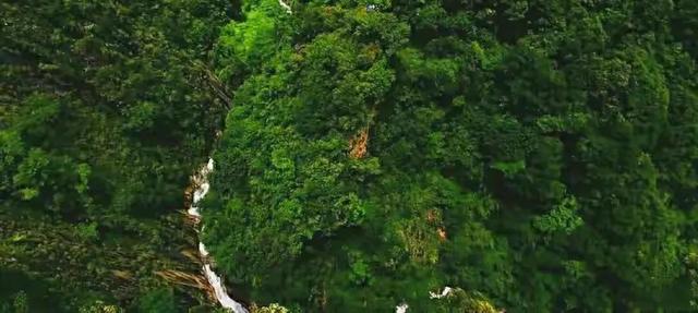 一般燕窝的价格多少钱一克，燕窝通常多少钱一克（儿子却上工地也不学采燕窝）