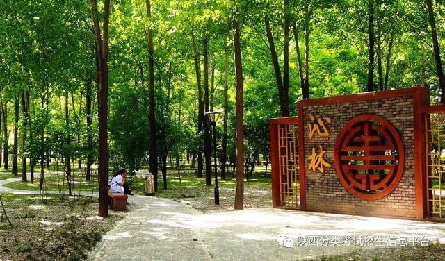 西安市所有五年制大专详细点，西安五年制大专有哪些（走进“省级示范院校”—西安医学高等专科学校）