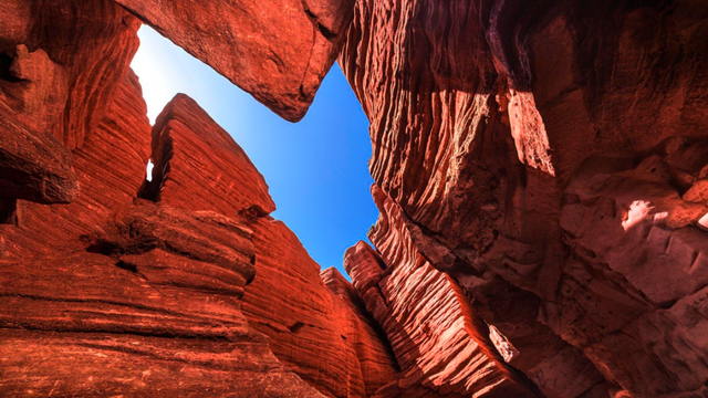 成都周边一日游，成都周边一日游风景好的地方推荐（山野间“粽”情享受）