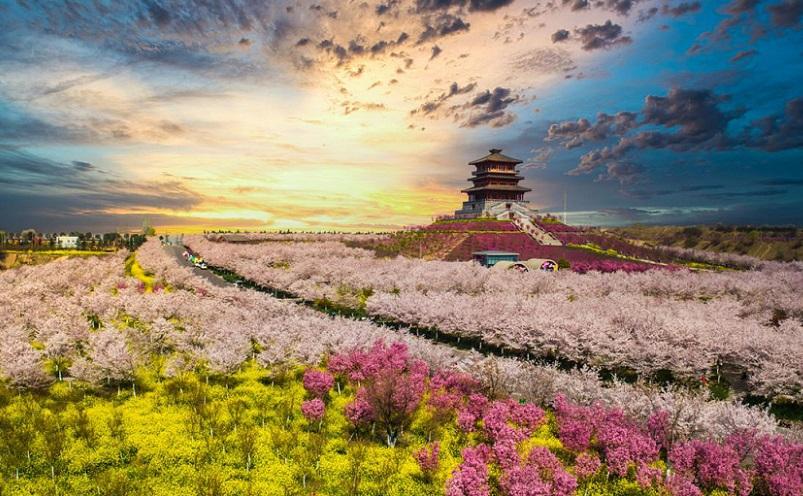 郑州有哪些好玩的地方旅游景点（郑州十大必玩景点）