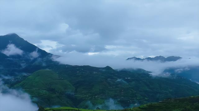 青瓷演员表，青瓷演员表介绍韩雨芹（作为严东雷背后的女人）