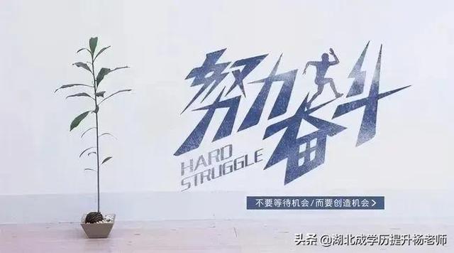 成人本科函授什么意思，函授成人高考是什么意思（成人学历有用吗）