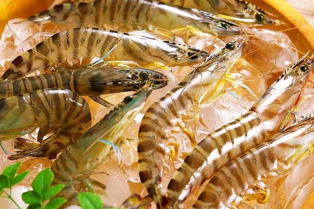 虾仁的18种做法，虾仁有几种做法（10种家常大虾的做法）