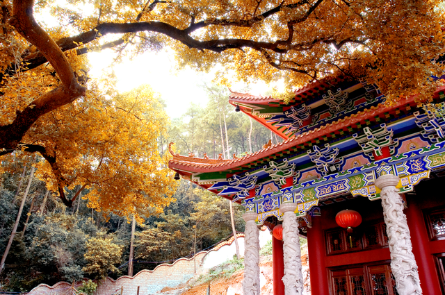 广西有哪些景点值得去，广西有哪些景点值得去看（快把广西这些游玩不累、老少皆宜的山湖美景安排上~）