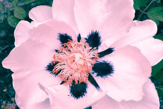 庾澄庆 - 醒来的时候歌词是什么，庾澄庆命中注定（醒来的时候）