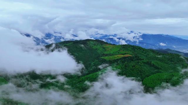 什邡市景点，什邡景点旅游景点（成都周边绝美“禁林”）