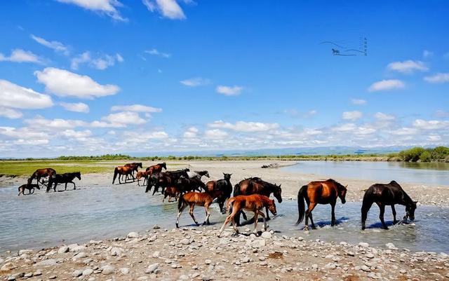 七八月份最适合旅游的地方，7-8月最适合旅游的地方（探索天地间的五光十色）