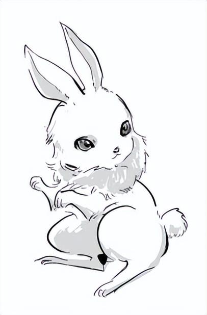 兔子的含义，兔子的含义中国（说文解字：十二生肖之—“兔”）