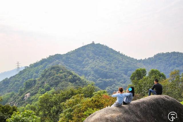 深圳旅游全攻略，深圳必须去的50个地方