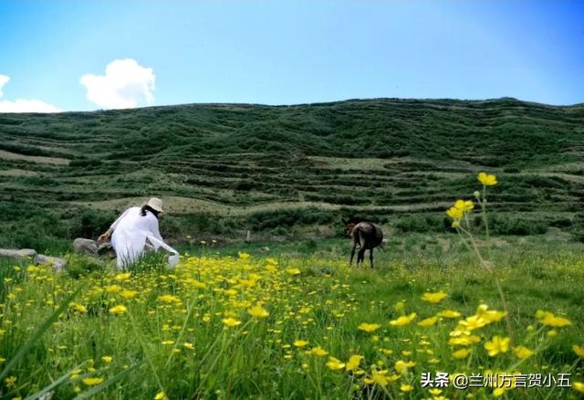 兰州话方言大全，兰州方言流传下来的民间俗语