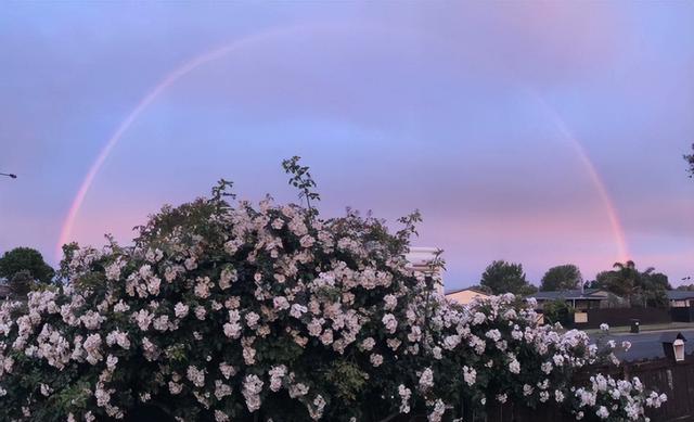 世界上最漂亮的花，世界上最漂亮的十种花（世界上最美的花，只为他开放）