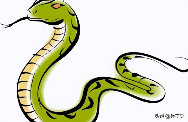 北京动物园百米巨蟒，太平洋底惊现百米巨蟒（海南巨蟒为报恩甘当“保镖”）