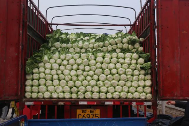 西安高新科技职业学院，西安高新科技职业学院怎么样（西安高新技师学院学费多少）