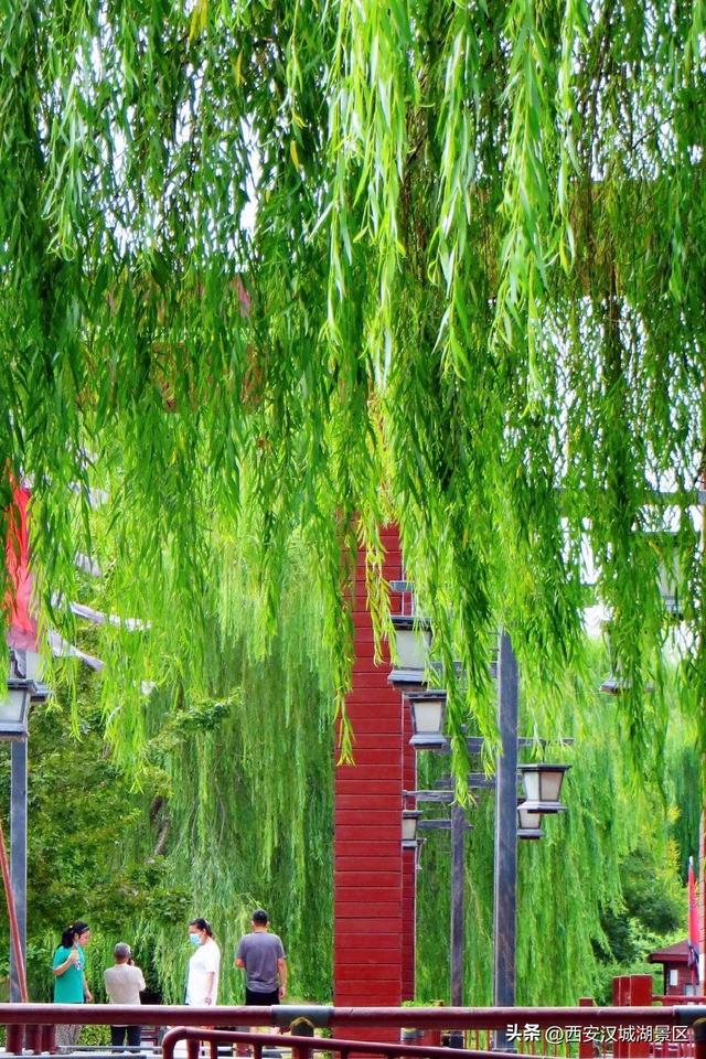 唯美图片清新简约 请允许我成为你的夏季，唯美图片清新简约头像（是时候给你点“颜色”看看了……）