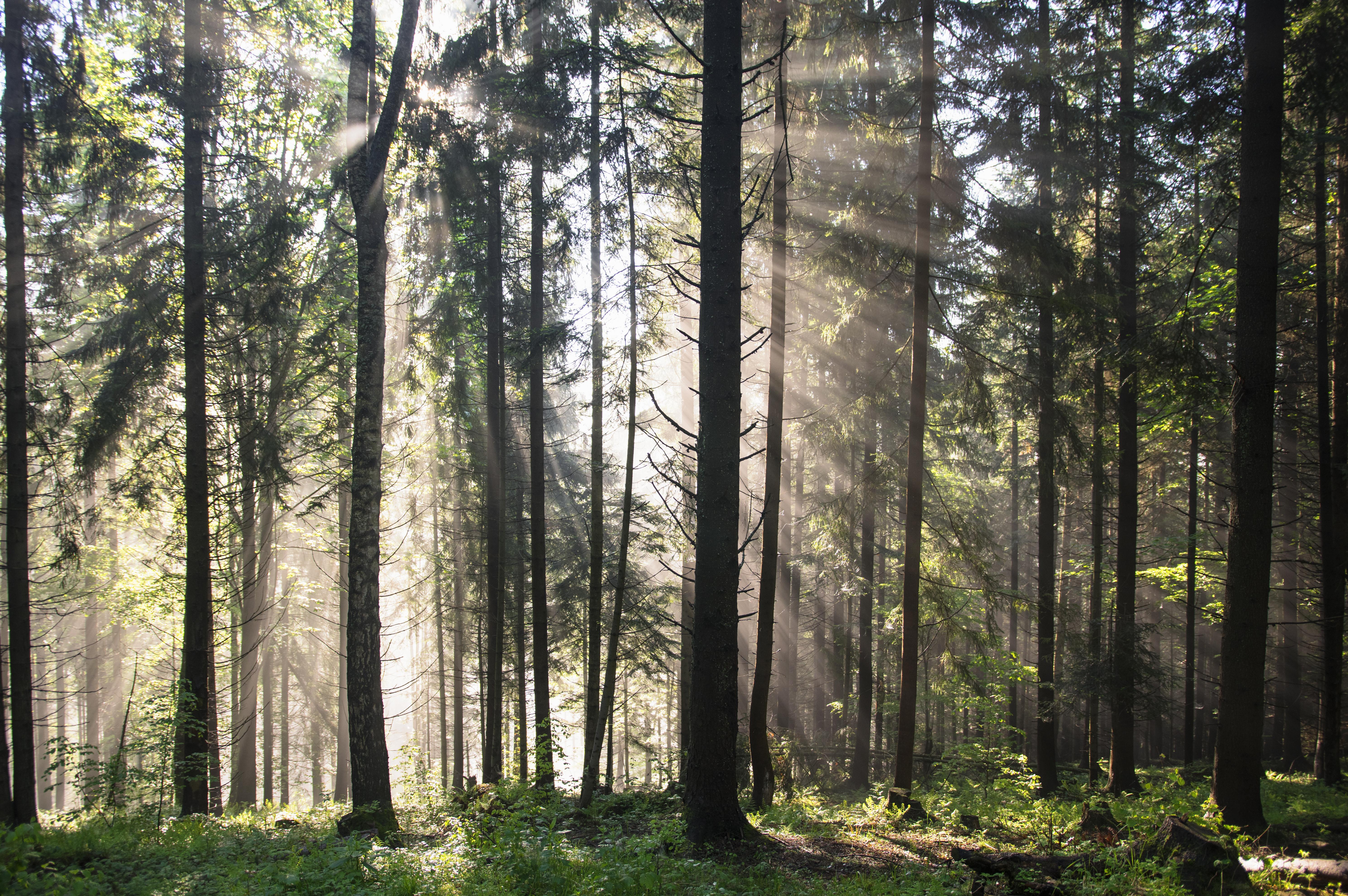 一,电脑桌面背景图,有没有那张让你心动呢?