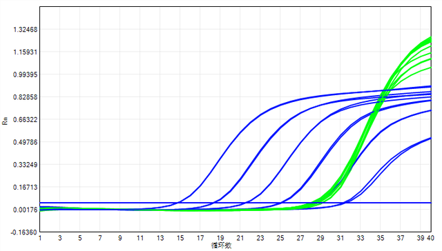 esab2286账户全部冻结是什么意思，银行卡全部冻结是什么意思（实时荧光PCR检测系统）