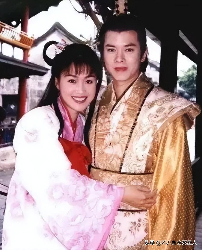 苗侨伟主演的电视剧，苗侨伟演的关于黑社会的电视剧是哪部（癌症、不生孩子、事业落魄）