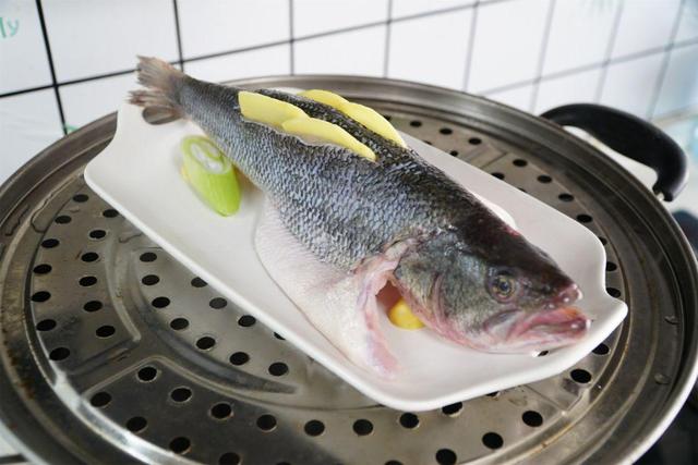 夏天可以吃羊肉吗，夏天可以吃羊肉吗 夏天清炖羊肉怎样做（建议少吃猪肉羊肉）