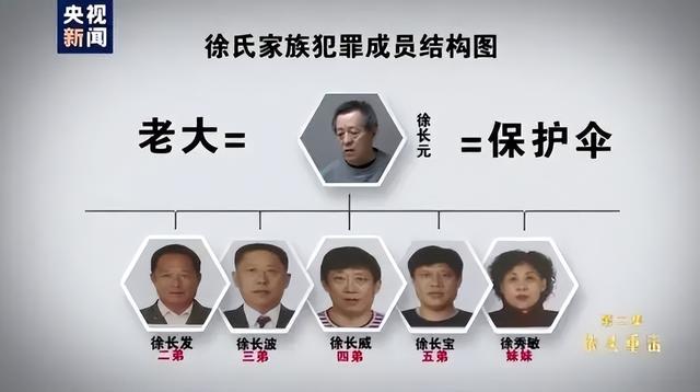 曲婉婷母亲案哪一年，贪官母亲急用钱减刑