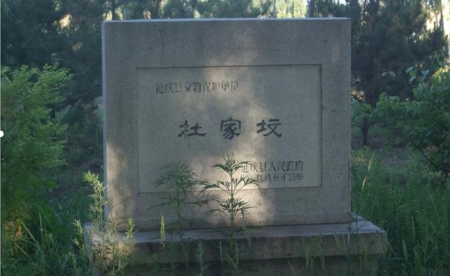 看到白蛇代表什么预兆，路边看见白蛇是什么兆头（俗语：“坟有三象）