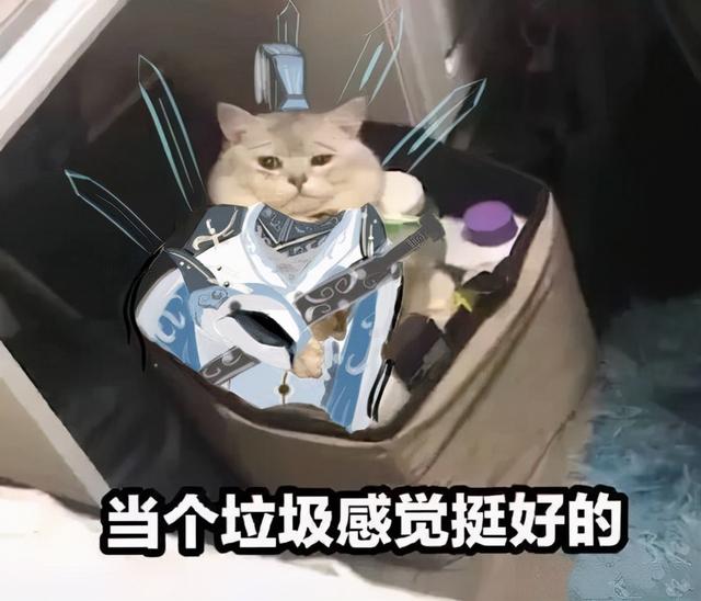 剑网3丐帮怎么打天策，剑三冰心怎么打天策（剑三竞技场最大的“谎言”）