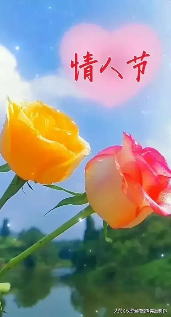 七夕节的图片，七夕浪漫情人节，玫瑰壁纸（七夕节的图片）