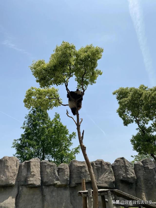 上海有名的景点，上海有哪些著名的旅游景点（上海必游的十大景区）