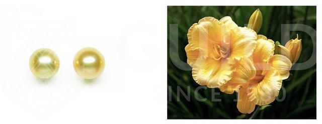 什么珍珠最好，什么珍珠最好看（看懂这4点就能买到高档次的珍珠）